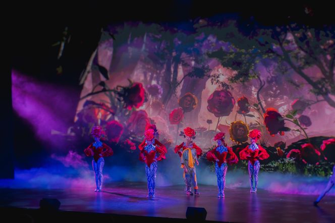 Broadwayowski musical na katowickiej scenie. To będzie światowa premiera