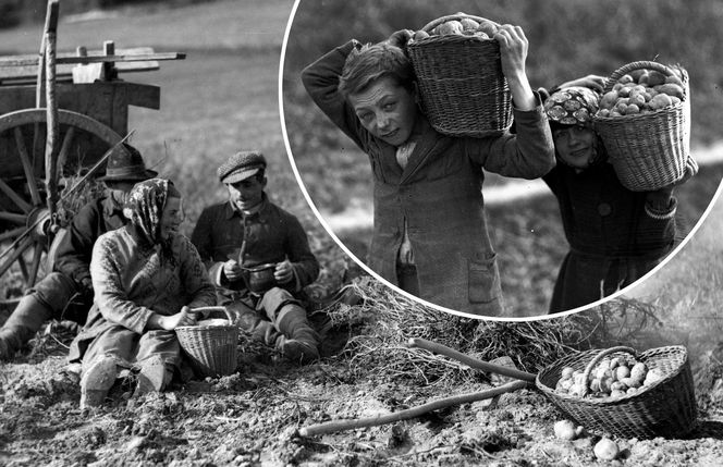 Polska wieś w czasach „Znachora”. II Rzeczpospolita nie dla chłopów