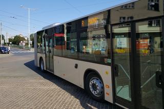 Pierwszy kurs autobusu przegubowego w Grudziądzu