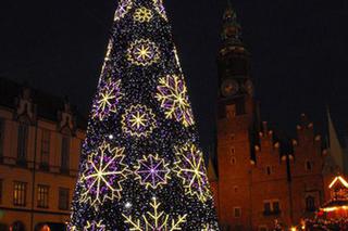 Tak będzie wyglądać choinka na wrocławskim rynku