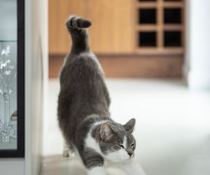 Minimalistyczne wnętrze KODO