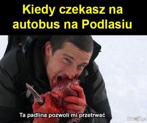 Najlepsze memy o Podlasiu. Zobacz najciekawsze memy o województwie podlaskim. Ubaw do łez!