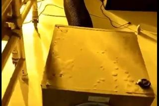 Policja zlikwidowała plantację konopi indyjskich w Jaworznie. Krzaków było naprawdę sporo...