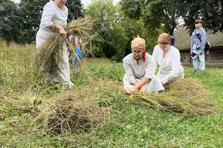 Niedzielna z lnem w Muzeum Wsi Lubelskiej. Trudno w to uwierzyć, że to taka niesamowita roślina