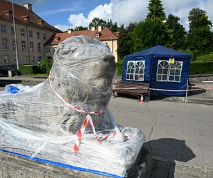 Jednego owinęli folią, a drugiego schowali w namiocie. Co się dzieje zabytkowymi lwami?