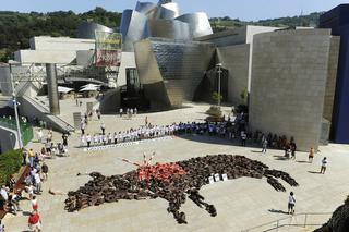 Protest przeciwko korridzie