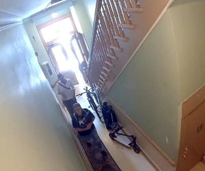 Polka oskarża PETA o kradzież psa