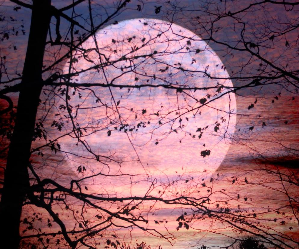 Niesamowity wschód Księżyca oświetlonego w 99%! Kiedy i jak go oglądać? 