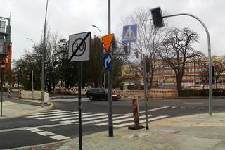 Las słupów na placu Zwycięstwa