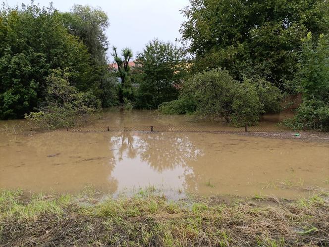 Ząbkowice Śląskie (woj. dolnośląskie)