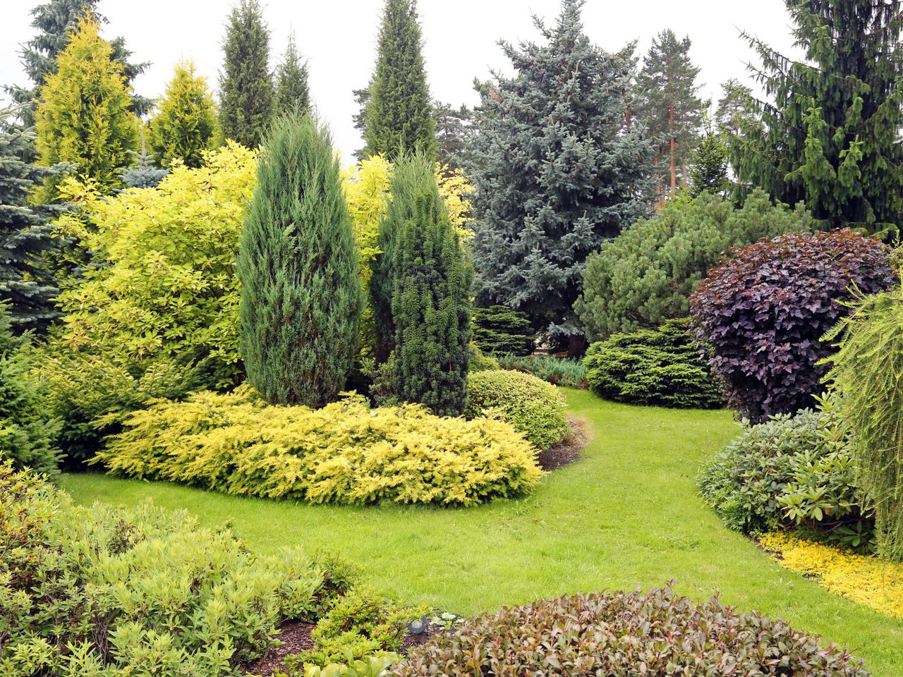 Stwórz logo dla Sąsiedzkiego Ogrodu Społecznego w Chodzieży