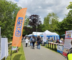 Festiwal Przyjaciół Zwierząt w Olsztynie. Park Centralny opanowały radosne pieski
