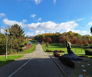 Najlepsze miejsca na jesienny spacer w Rzeszowie