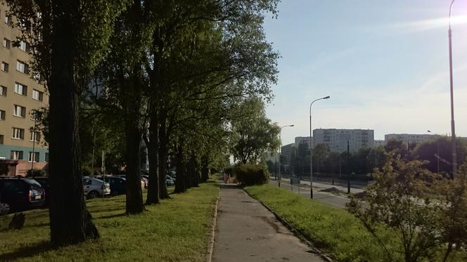 Remonty chodników 2015 w Łodzi: Gdzie położą nową nawierzchnię? [LISTA ULIC]
