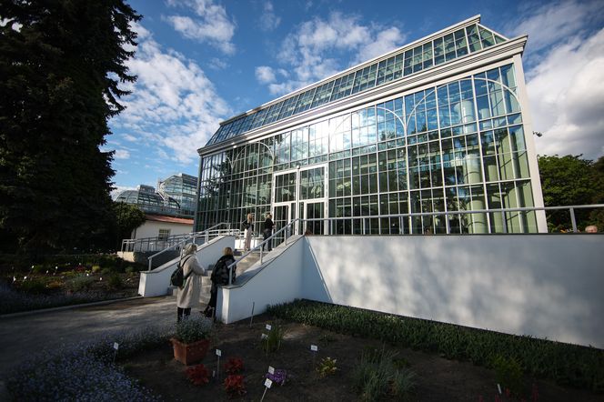 Nowa oranżeria w Ogrodzie Botanicznym UJ. Zastąpiła poprzedniczkę z XIX wieku 