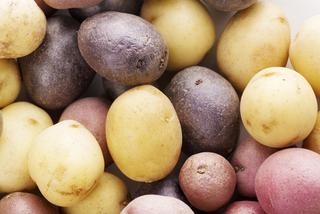 Łatwe dania z ziemniaków - 8 super przepisów + WIDEO!
