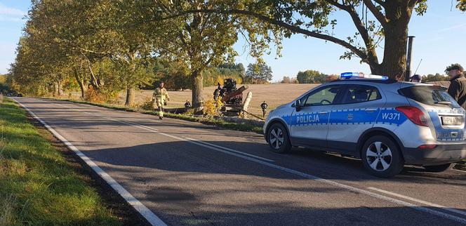 Olbrzymie kłody zablokowały drogę wojewódzką 163