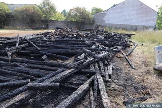 Gowarczów. Strażacy wzniecali pożary i sami jej gasili! Ogromne zniszczenia [ZDJĘCIA]