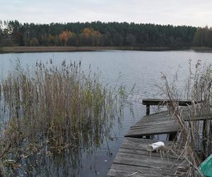 Tragedia pod Sejnach. Policjantki wskoczyły do lodowatej wody, by ratować tonącego mężczyznę. Tragiczny finał