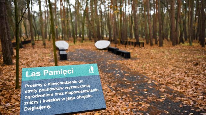 Na cmentarzu junikowskim powstał Las Pamięci