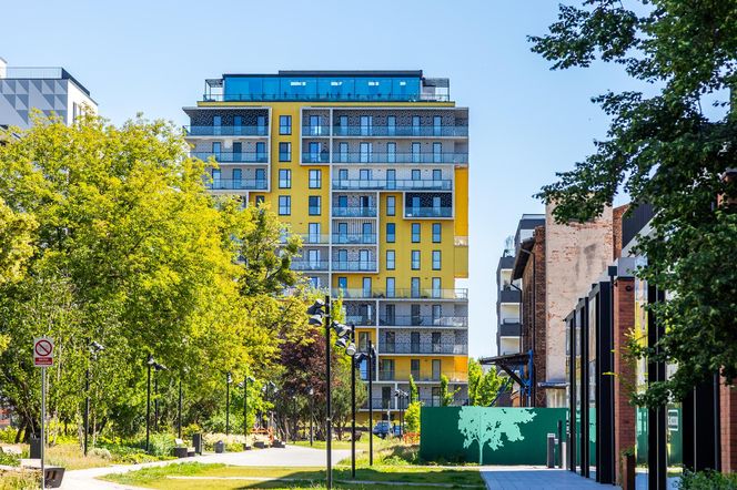SOHO na Kamionku w Warszawie 