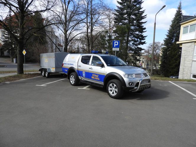 W Olsztynie powstał pierwszy eko-patrol. Kiedy zacznie działać i jakie ma obowiązki?