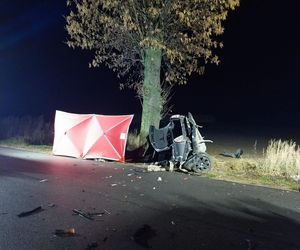 Śmiertelny wypadek pod Łęczycą. 21-latek uderzył w drzewo.