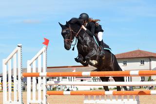 400 koni i 12 konkursów. To już za niecały tydzień w Morawie. W czwartek rusza Lotto Strzegom Horse Trials