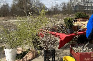 Niedzielny Targ Poznań przed Wielkanocą 2025