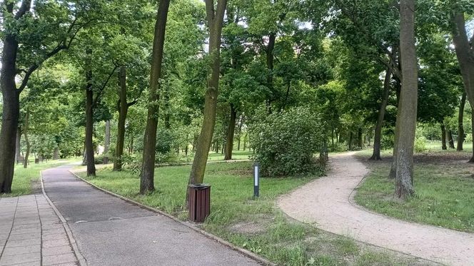 Park
