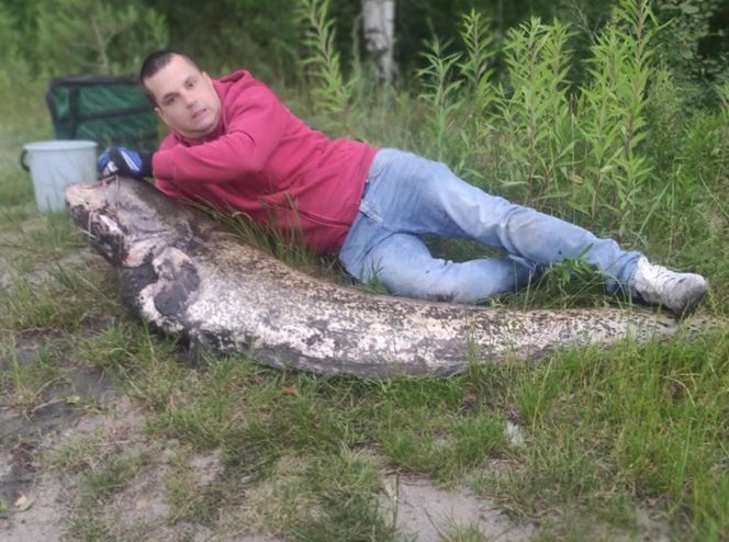 Sum gigant Rafała Kopra