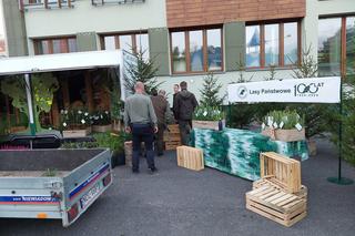 Leśnicy z Olsztyna rozdają za darmo sadzonki. To już piąta edycja akcji