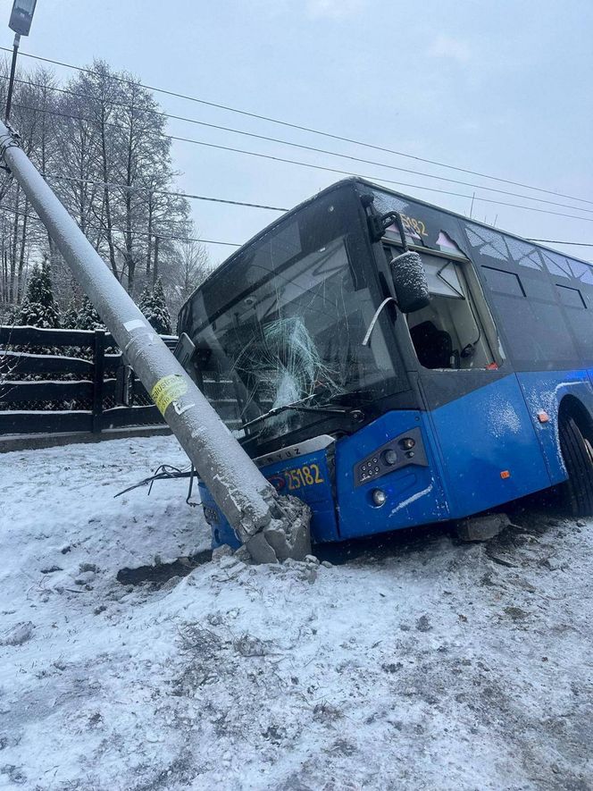 Pasażerowie przeżyli prawdziwe chwile grozy. Autobus zjechał do rowu i uderzył w słup!