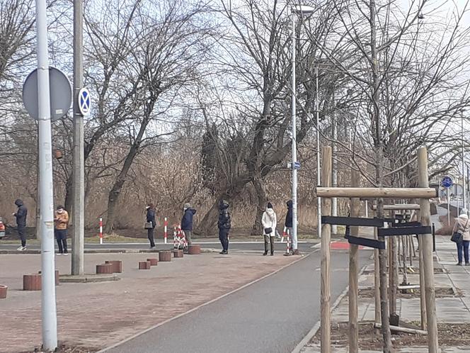 Punkty wymazowe w Toruniu