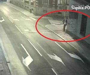 Katowice: Ukradł drzewo w centrum miasta. Policjanci poszukują tego mężczyzny