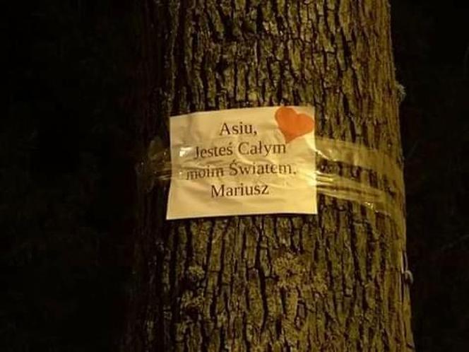 Barczewo: Nietypowe wyznanie miłości. Obkleił TYM całe miasto [ZDJĘCIA]