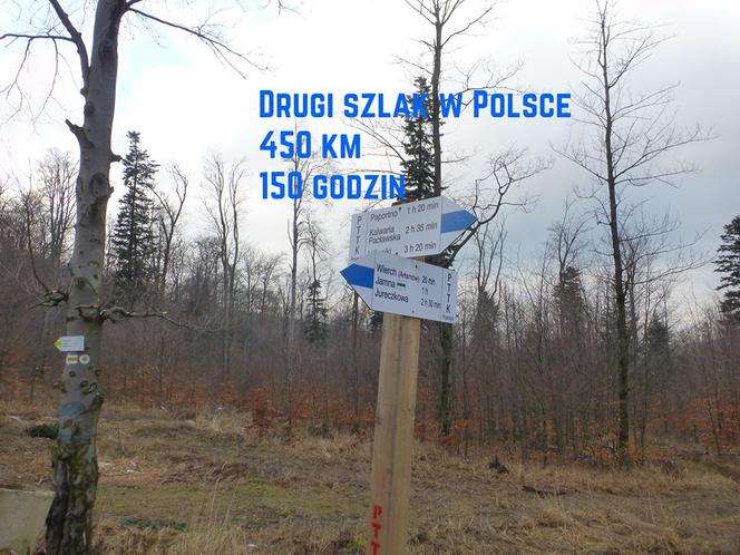 Niebieskie Wyzwanie