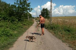 Warsaw Shore 19. Kadry z 8. odcinka. Rozłam w ekipie!