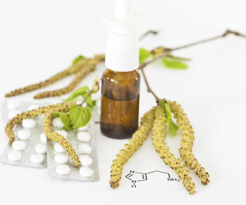 Alergeny pyłku brzozy  uczulają niewiele rzadziej niż alergeny pyłków traw.