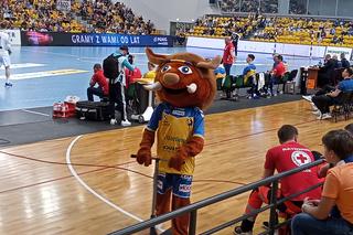 Piłkarze ręczni Barlinka Industrii Kielce pokonali Górnika Zabrze. Zobacz zdjęcia z trybun