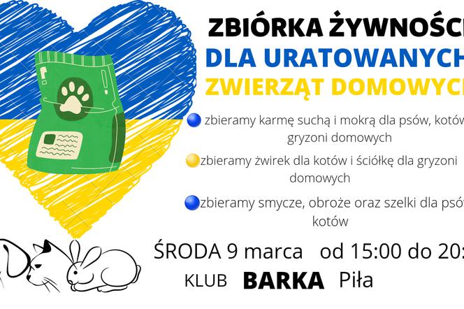 Będzie okazja pomóc zwierzakom z Ukrainy