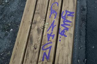 Kosztowne akty wandalizmu i dewastacji. Chorzowski urząd podsumował wydatki. Kwoty są ogromne