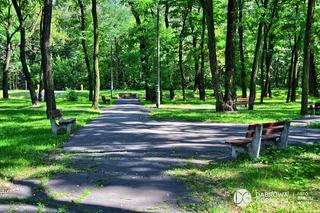 Dąbrowski Park Podlesie będzie jak nowy. Już niebawem rozpocznie się jego rewitalizacja. Będzie pięknie!