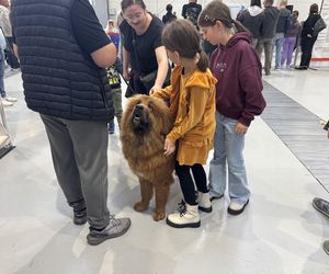 ZooPark w Lublinie. Dzień drugi
