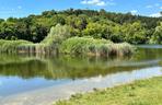 Zwłoki park Szczęśliwicki