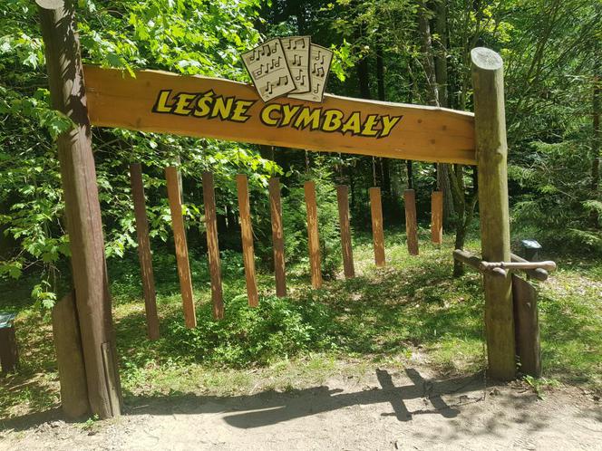 Leśne Arboretum Warmii i Mazur w Kudypach