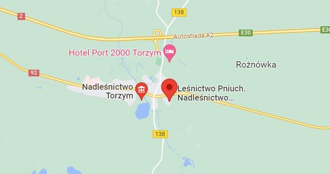 Nadleśnictwo Torzym
