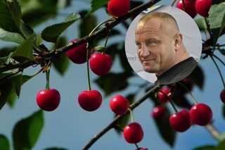 Przymrozki w sadach! Ucierpiał nie tylko Pudzianowski