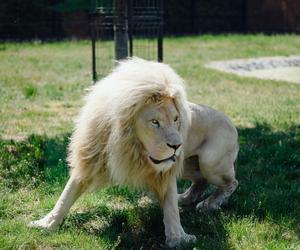 ZOO Borysew świętuje 15. urodziny! Zapowiada się niezapomniana impreza