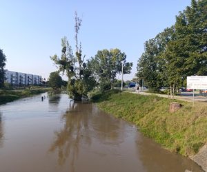 Stan rzeki Ślęza cały czas się podnosi. Przekroczono już stan alarmowy. Jak wygląda sytuacja?